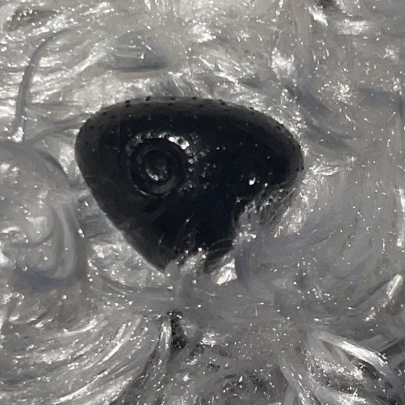 WEBKINZ Ganz WHITE TERRIER HM106 Hang/But tag no code stuffed animal plush - Picture 4 of 11